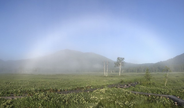 お食事処健太 広告